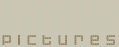 :: pictures ::
